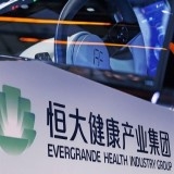 Китайская Evergrande Health покупает 51% акций шведского производителя электромобилей